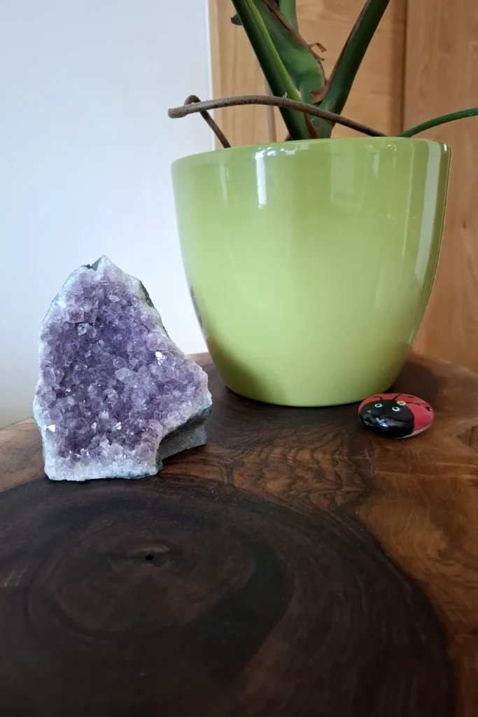 Amethyst cluster on a dark wood table beside a green plant pot and a painted ladybug stone